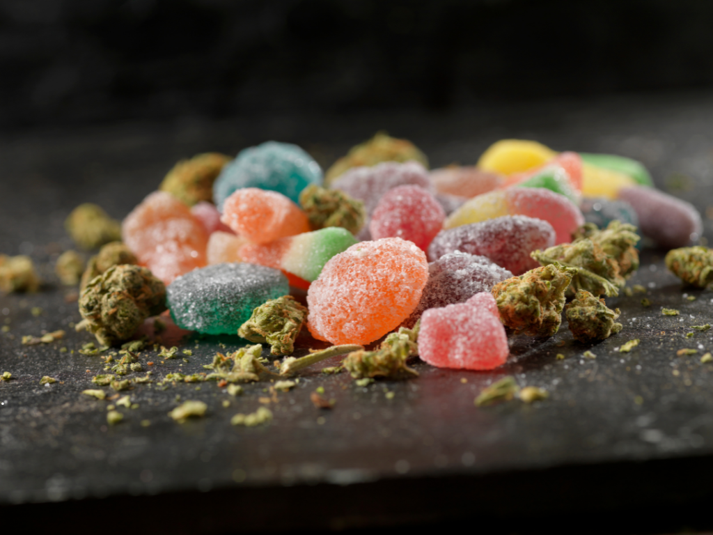 CBD Gummies vs CBD Oil: Which Is Right for You?