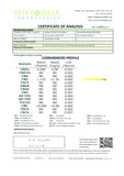 257418240.webp
