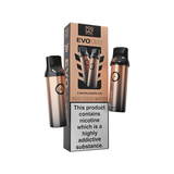 20mg Pod Salt Evolve Pods 2ml - 600 Puffs Cantaloupe Ice