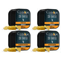 Four tins of Canevolve CBD Shatter with different strains on a white background